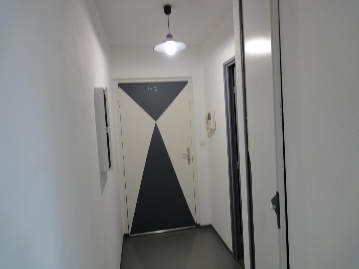Logement Type Studio 1 Piece Proche Zenith Straßburg Exterior foto