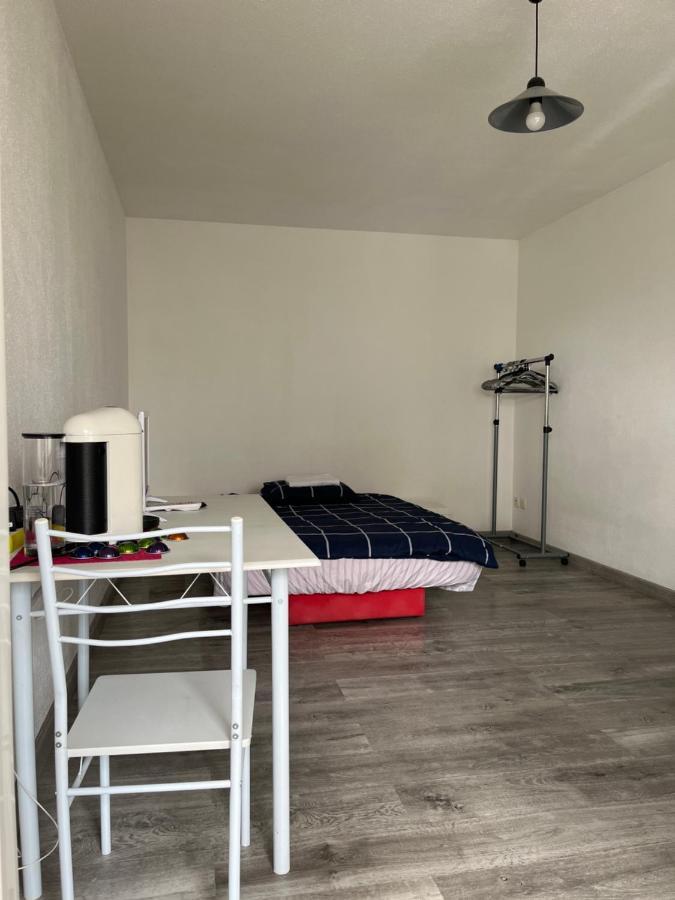 Logement Type Studio 1 Piece Proche Zenith Straßburg Exterior foto