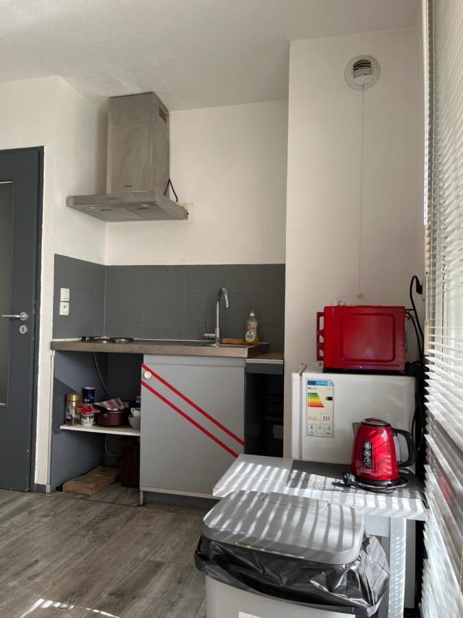 Logement Type Studio 1 Piece Proche Zenith Straßburg Exterior foto