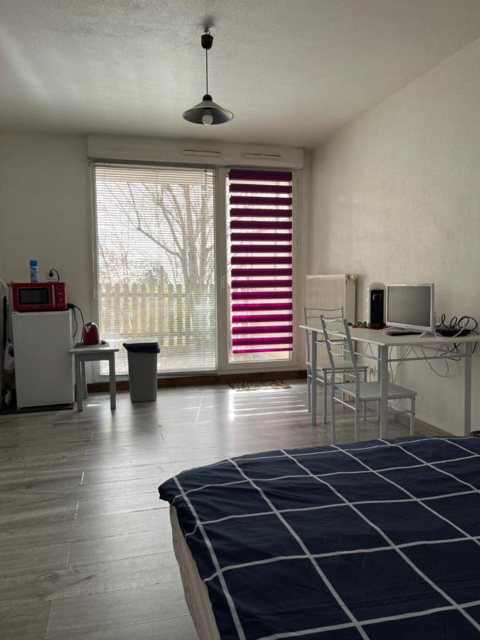 Logement Type Studio 1 Piece Proche Zenith Straßburg Exterior foto